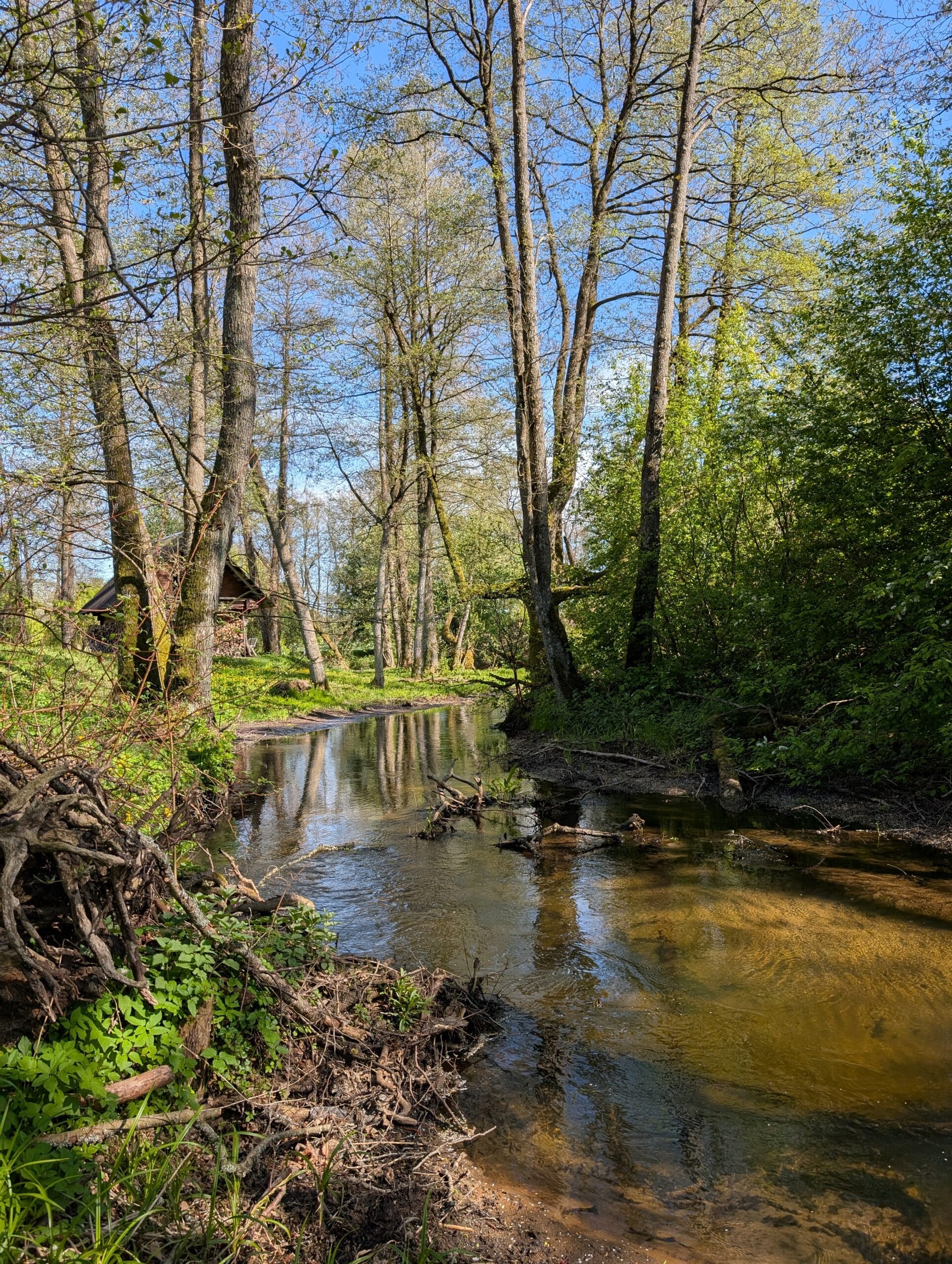 PXL_20250503_131641275